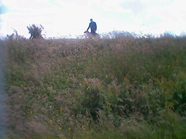 463F0031.jpg