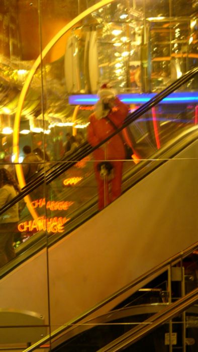 p1000511.jpg